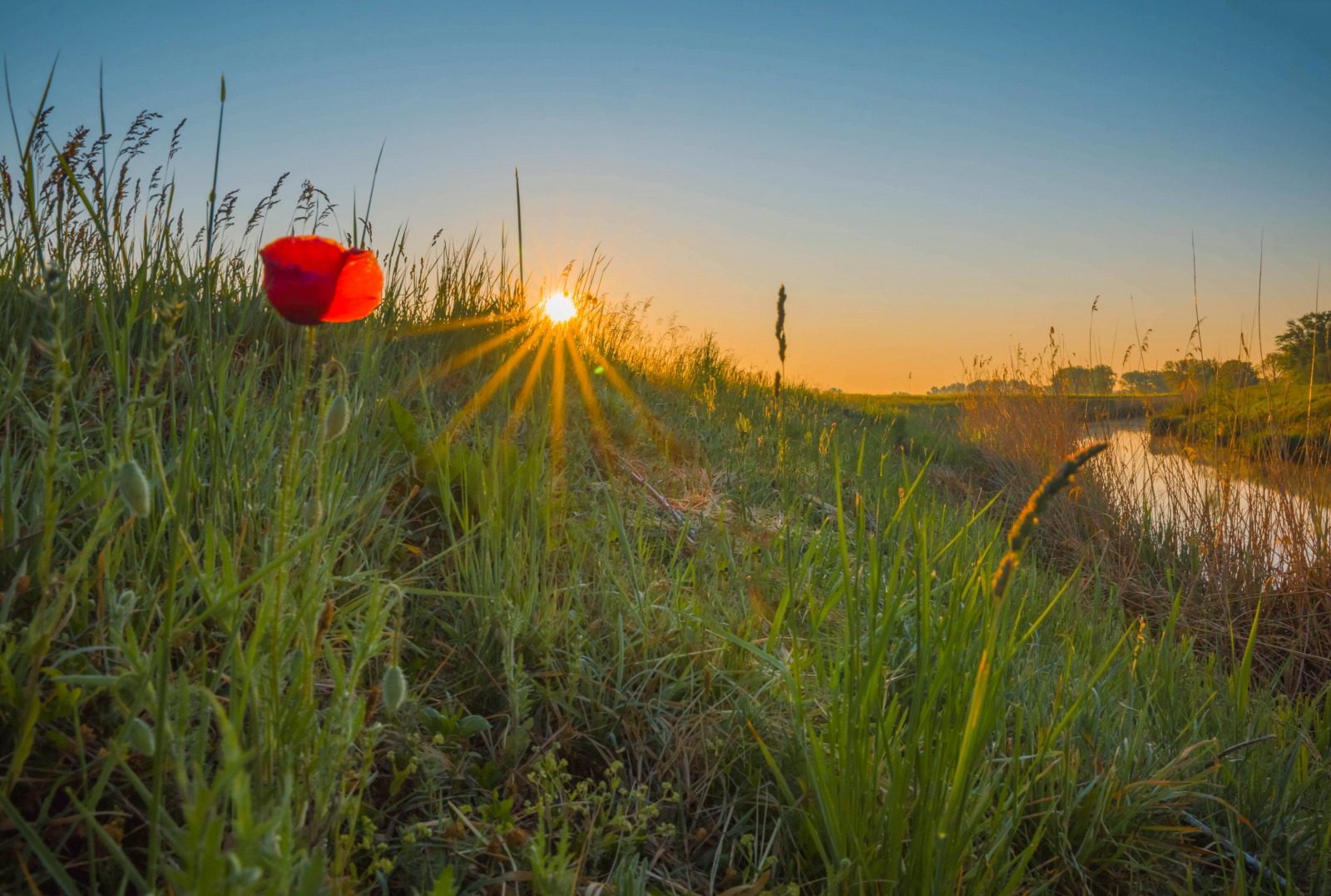 WBTPA Featured Top Photo