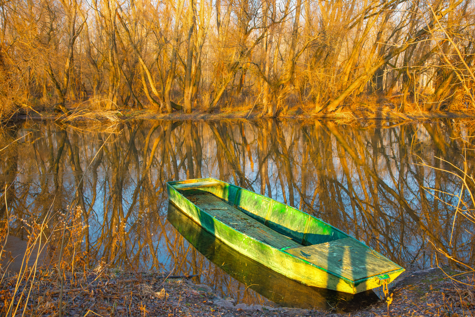 WBTPA Featured Top Photo