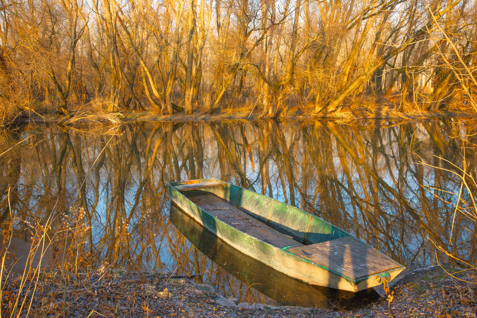 WBTPA Featured Top Photo