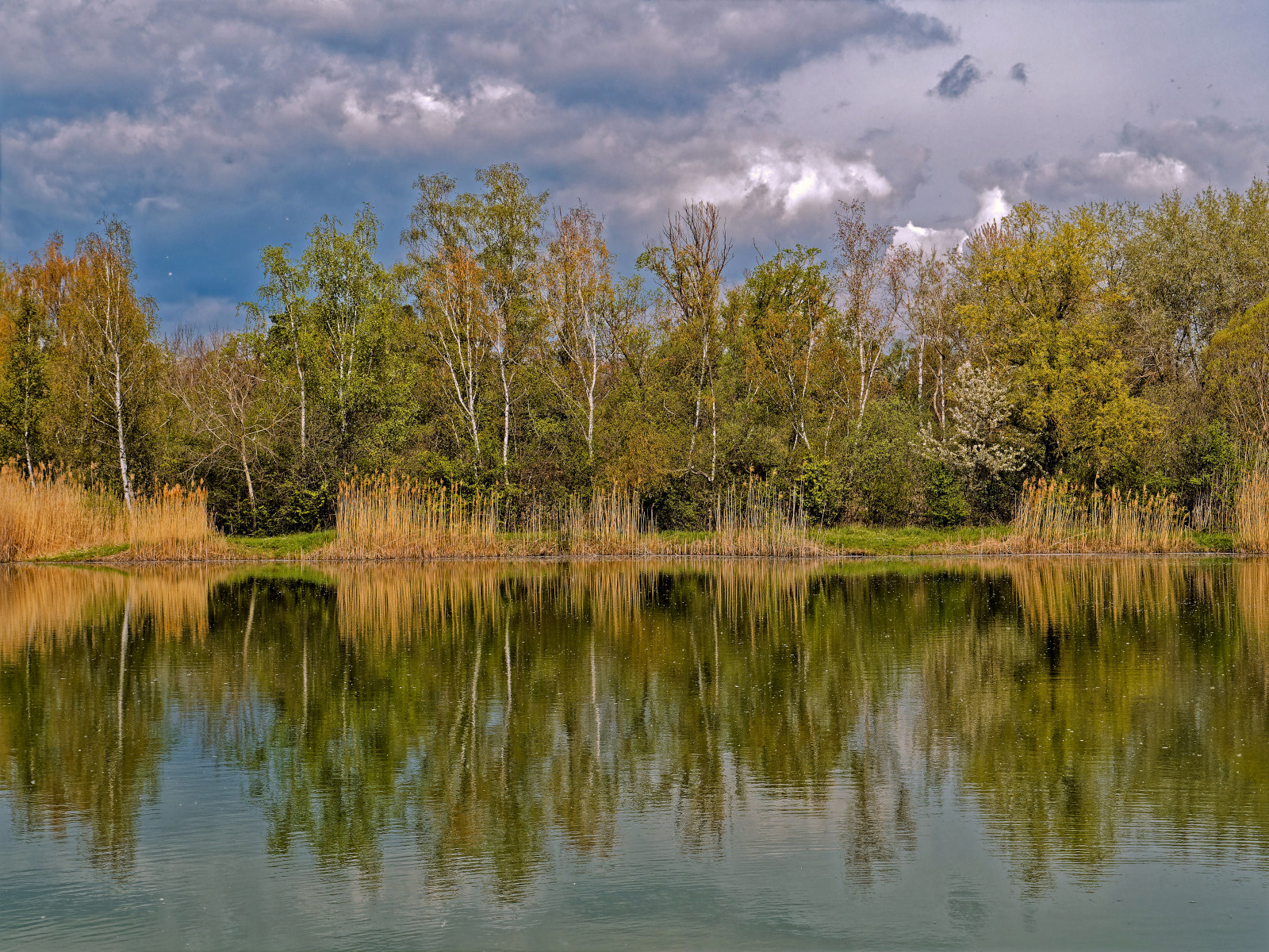 WBTPA Featured Top Photo