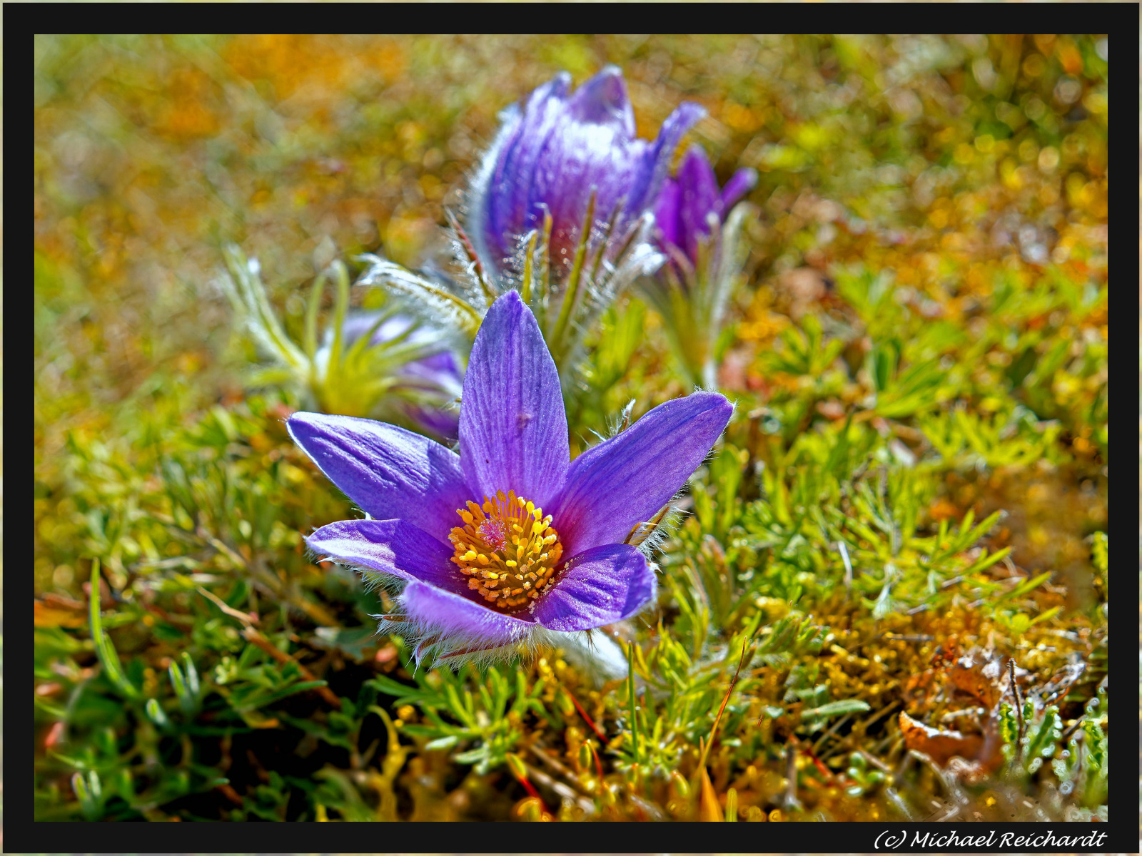 WBTPA Featured Top Photo