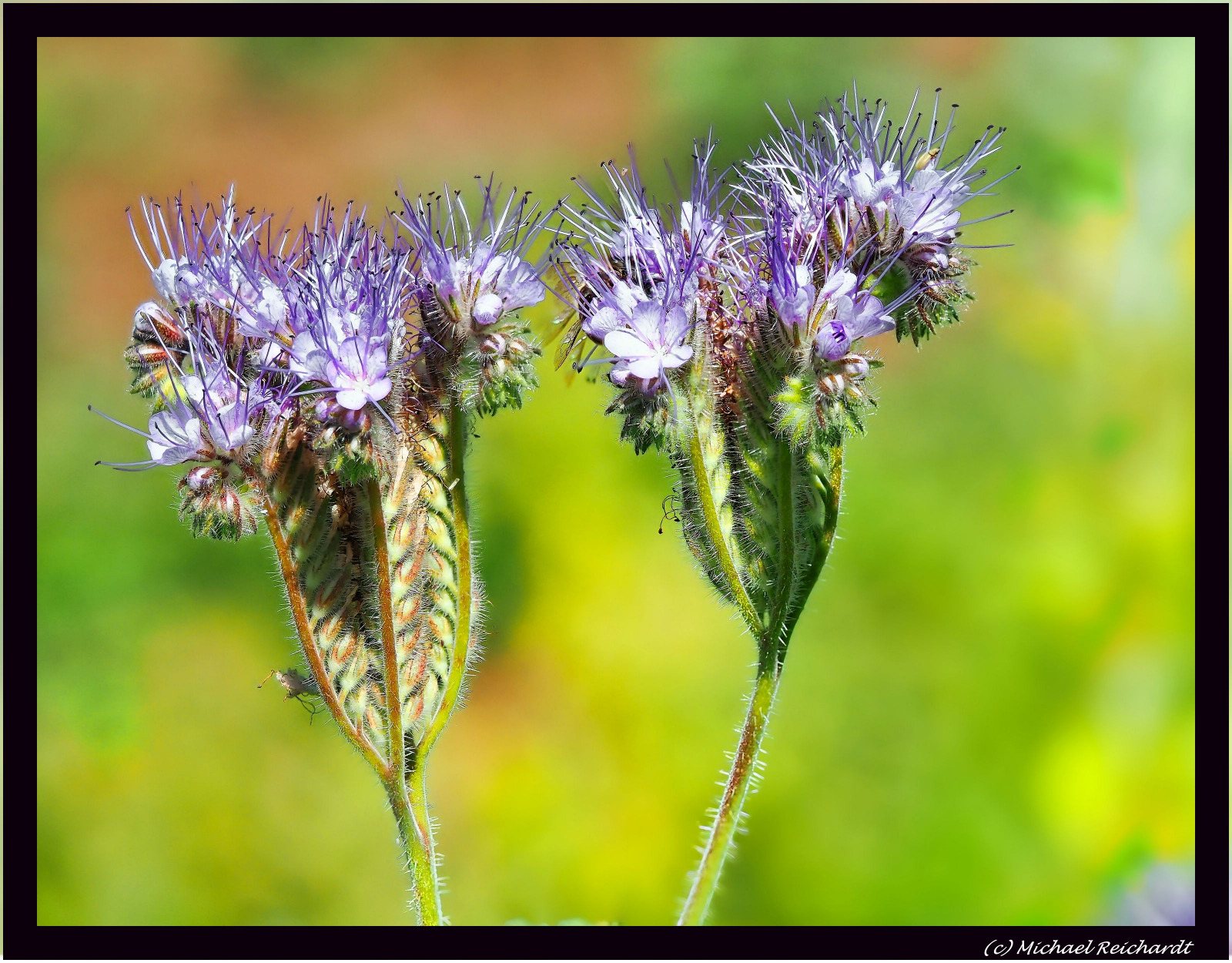 WBTPA Featured Top Photo