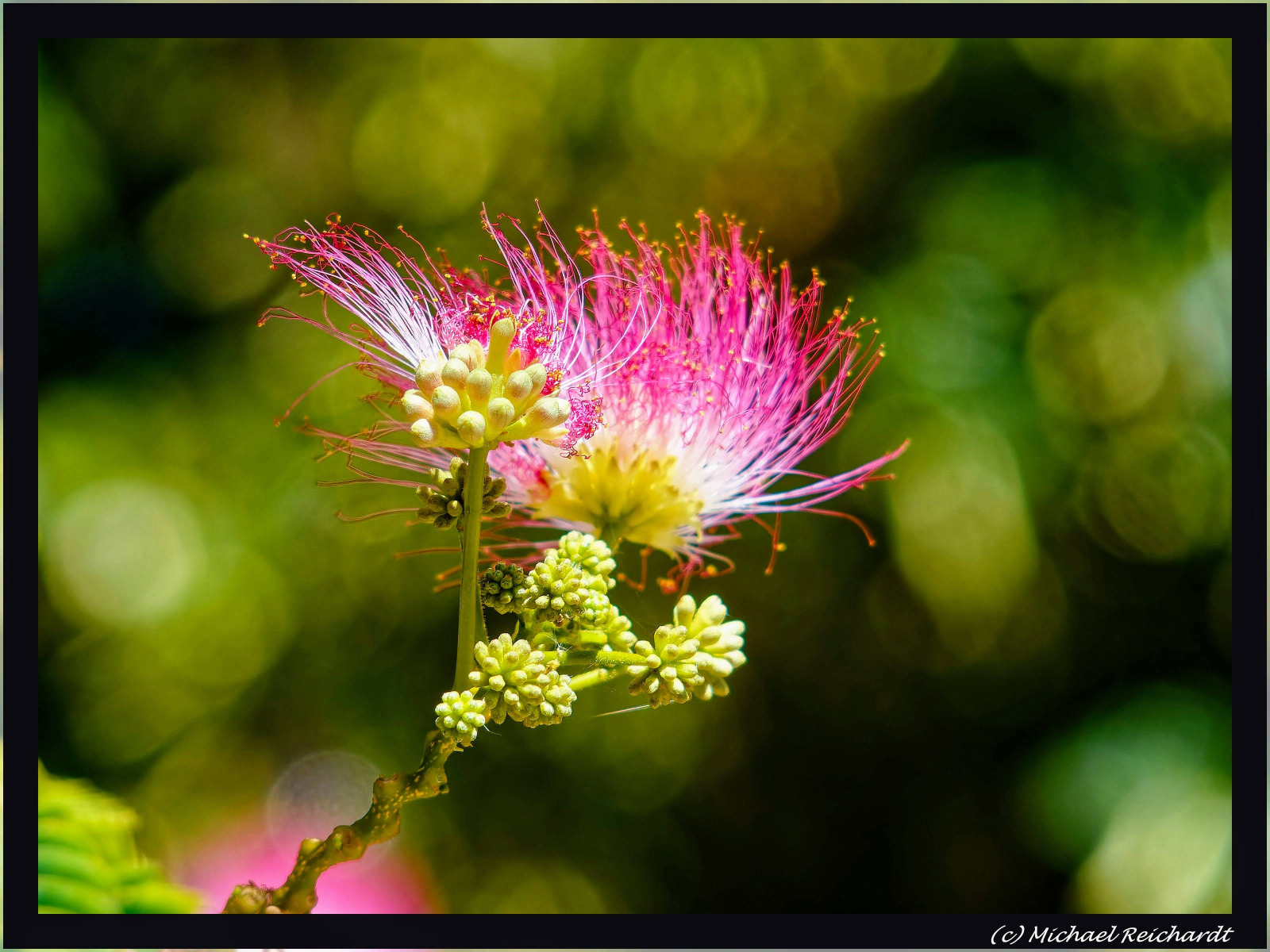 WBTPA Featured Top Photo