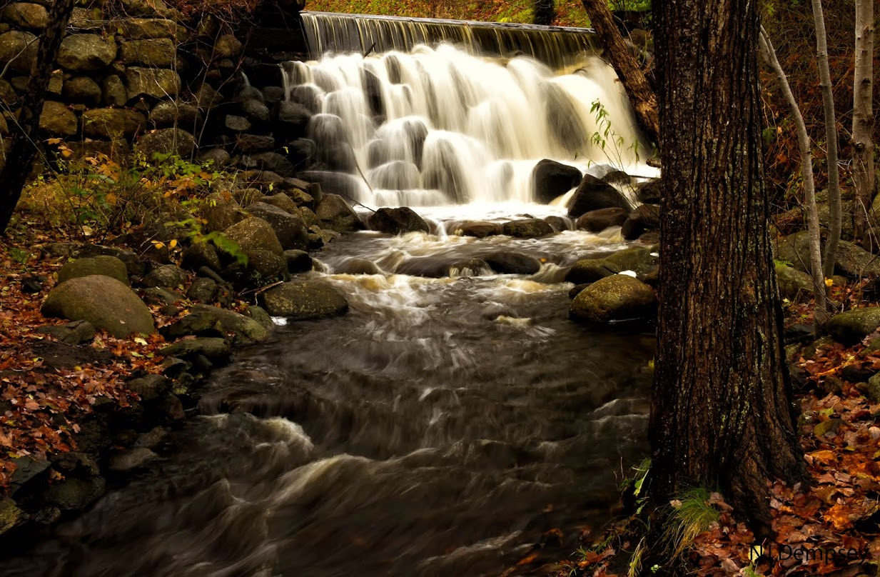 WBTPA Featured Top Photo