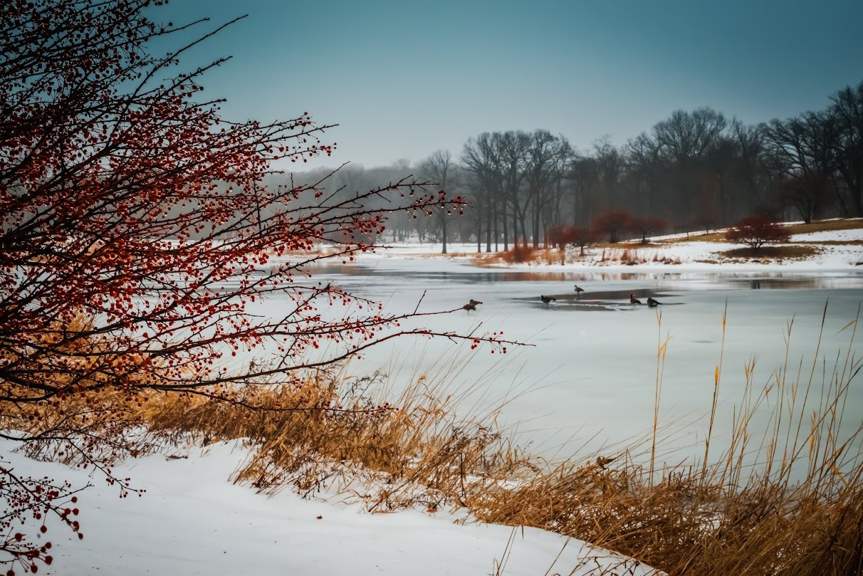 WBTPA Featured Top Photo