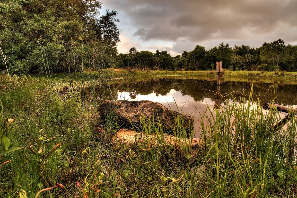 WBTPA Featured Top Photo