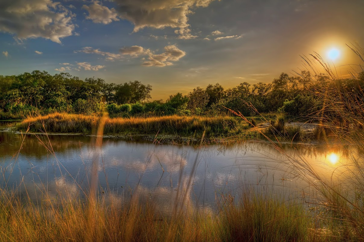 WBTPA Featured Top Photo