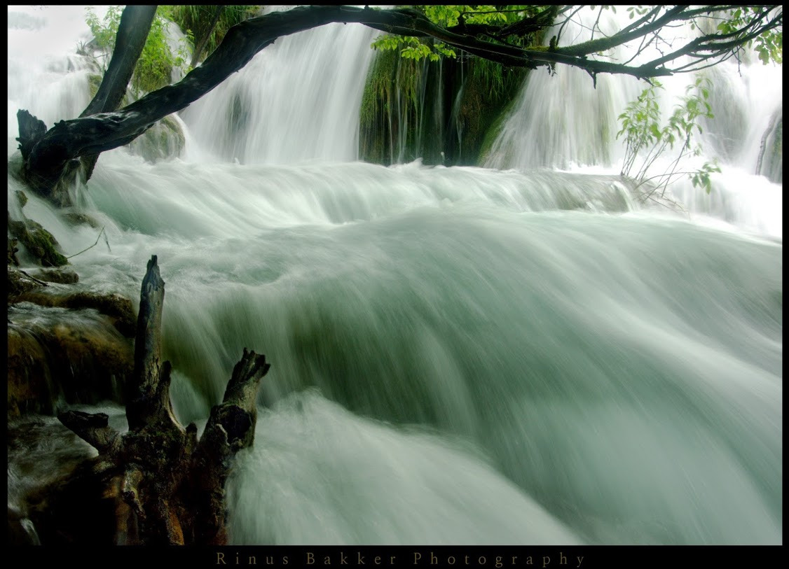 WBTPA Featured Top Photo