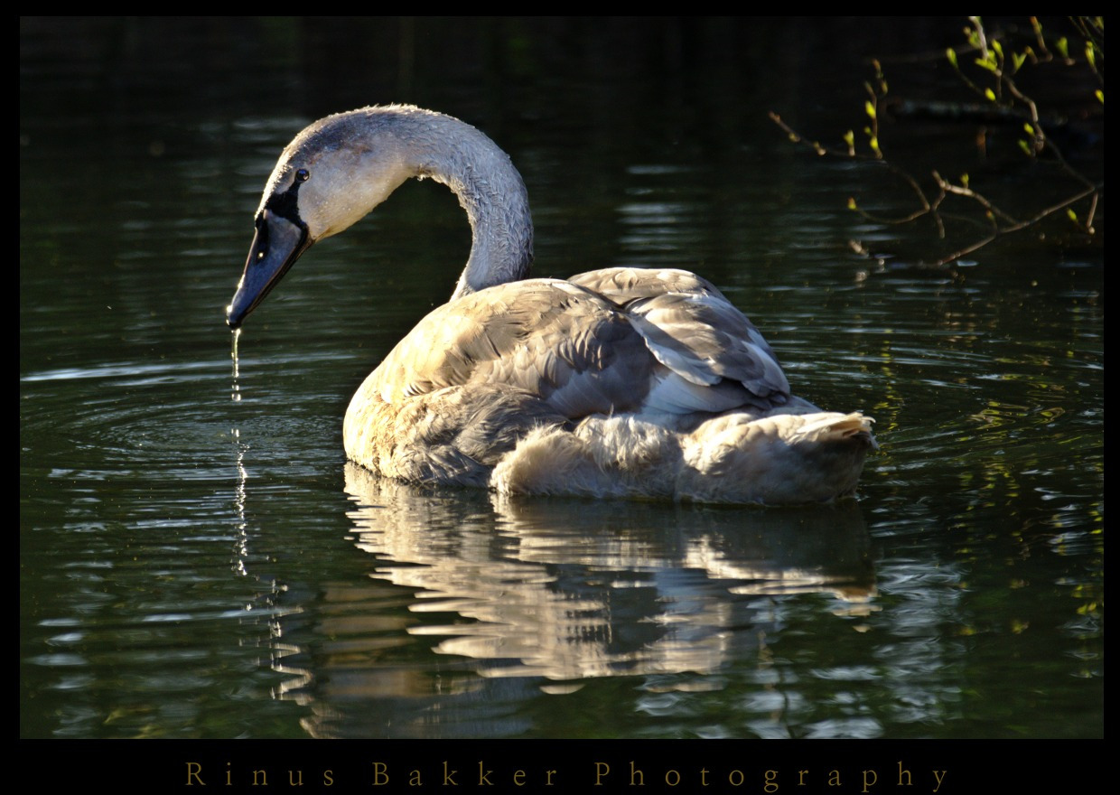 WBTPA Featured Top Photo