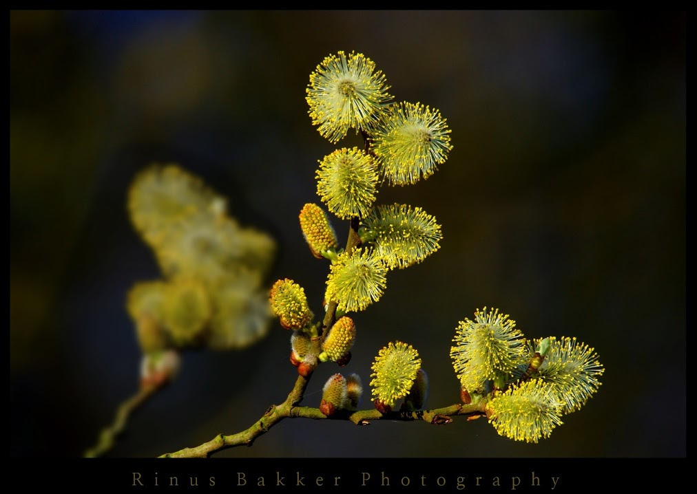 WBTPA Featured Top Photo