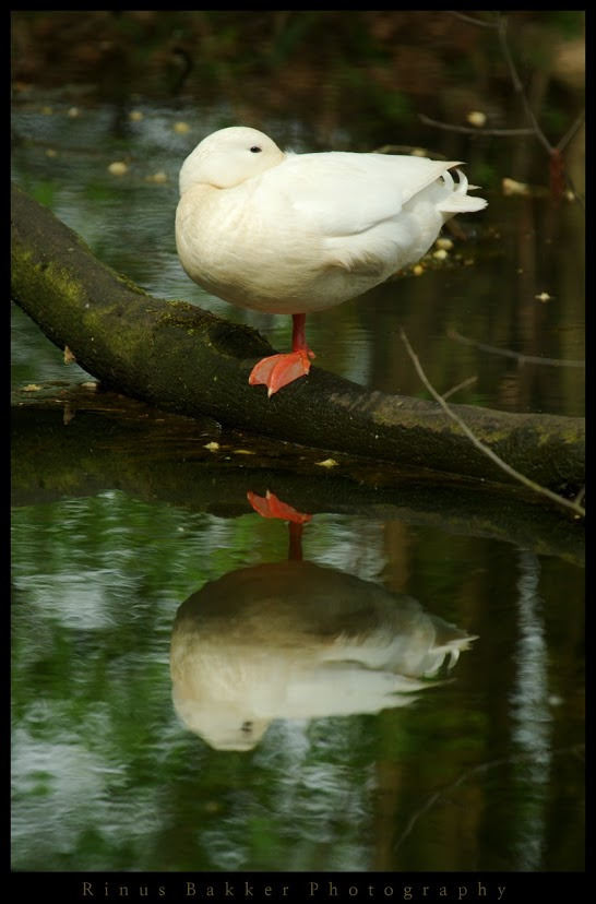 WBTPA Featured Top Photo