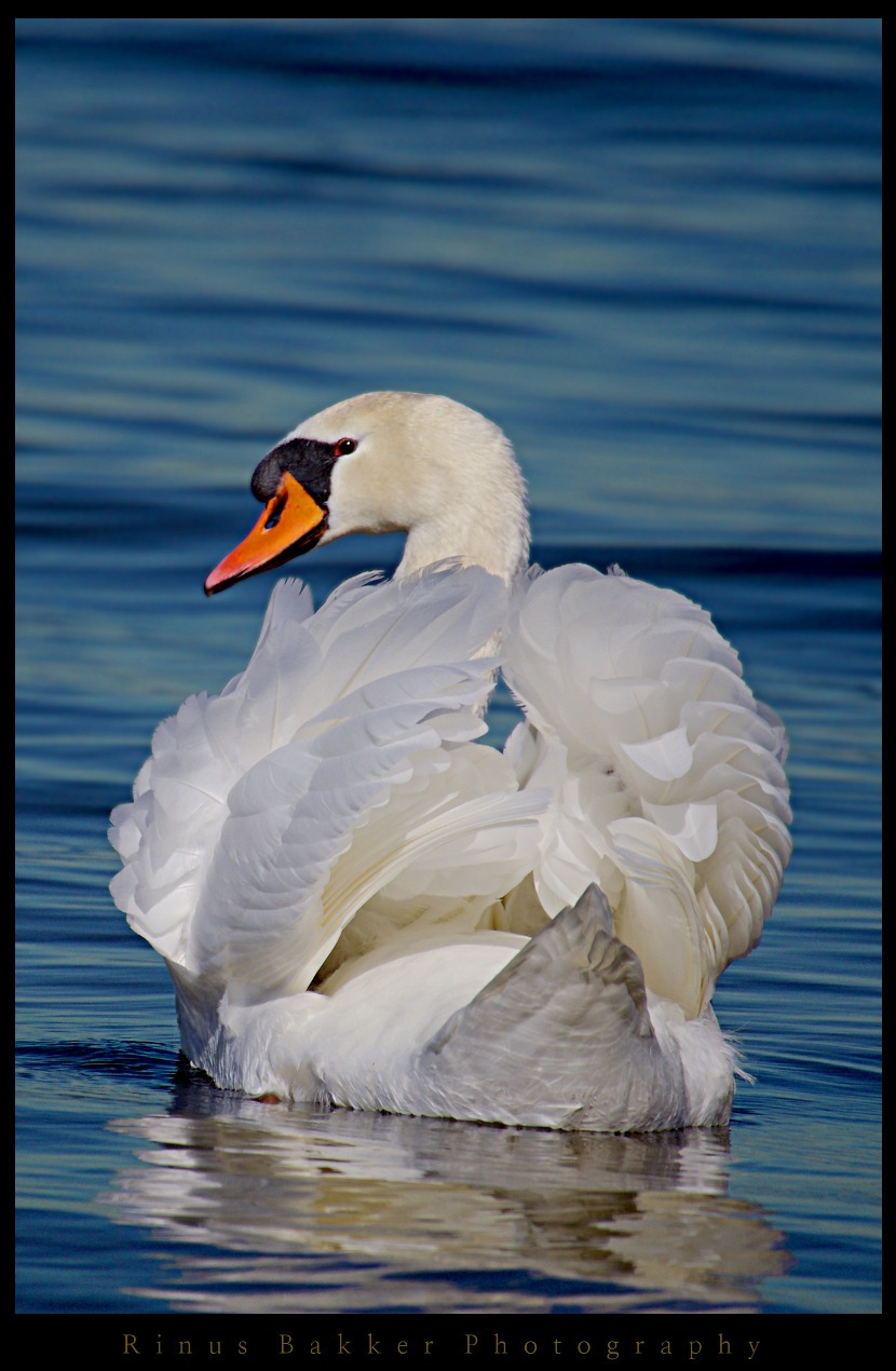 WBTPA Featured Top Photo