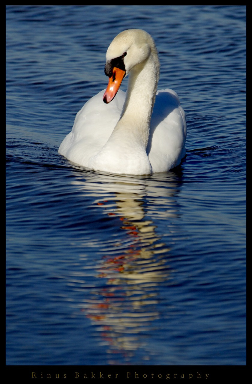 WBTPA Featured Top Photo