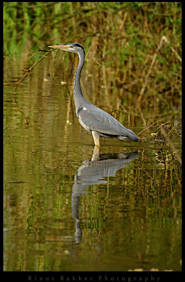 WBTPA Featured Top Photo