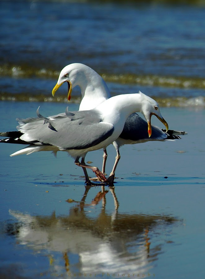 WBTPA Featured Top Photo