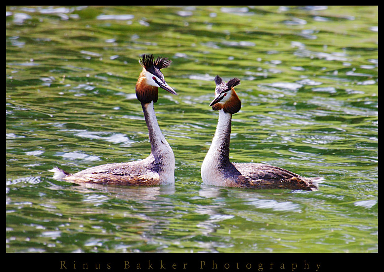 WBTPA Featured Top Photo