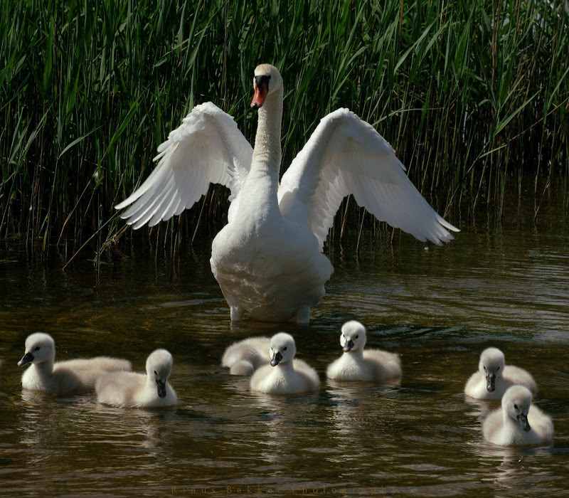 WBTPA Featured Top Photo