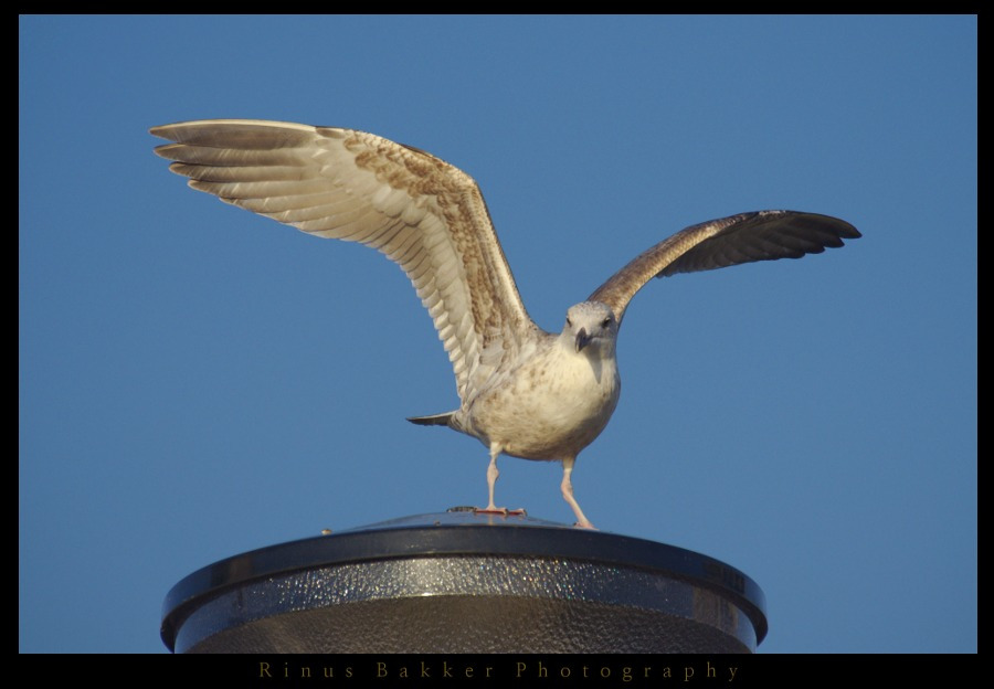 WBTPA Featured Top Photo