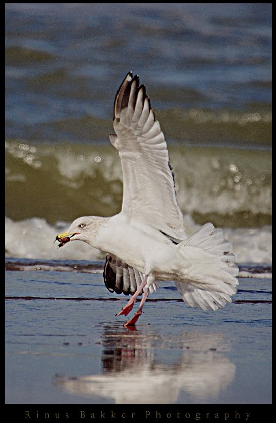 WBTPA Featured Top Photo