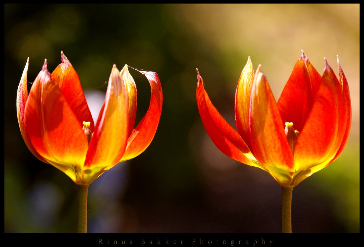 WBTPA Featured Top Photo