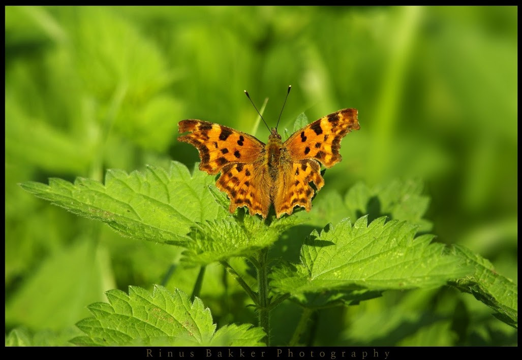 WBTPA Featured Top Photo