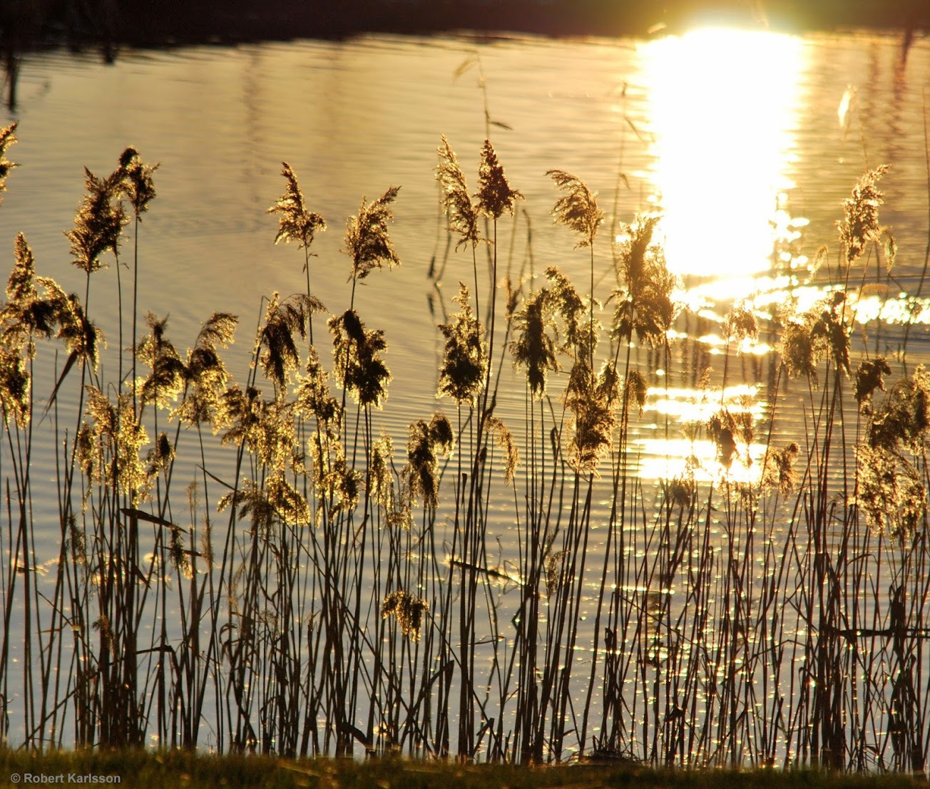 WBTPA Featured Top Photo