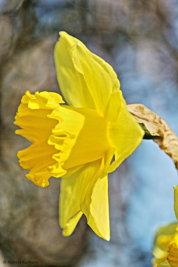 WBTPA Featured Top Photo