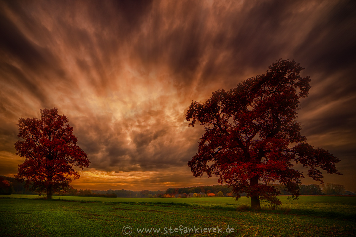 WBTPA Featured Top Photo