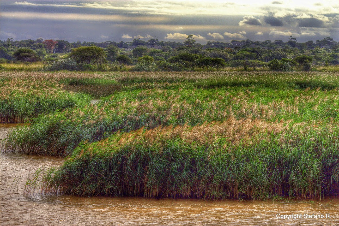 WBTPA Featured Top Photo