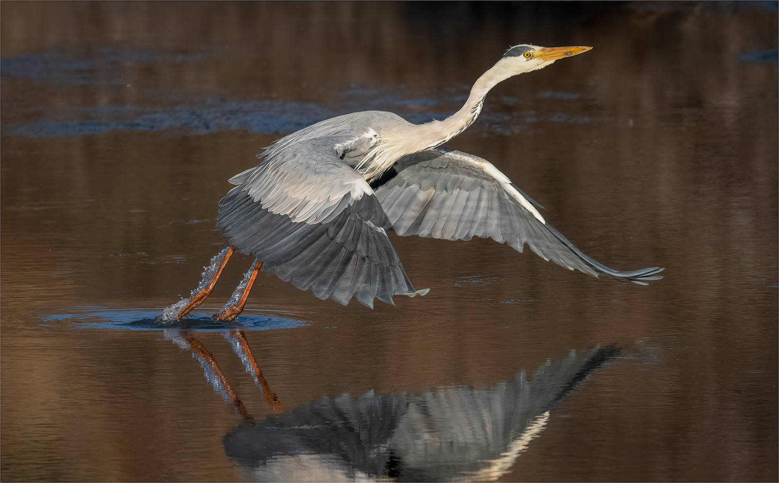 WBTPA Featured Top Photo