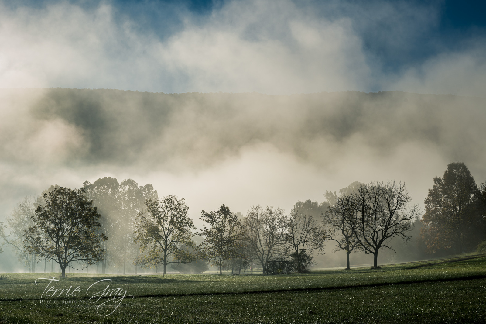 WBTPA Featured Top Photo