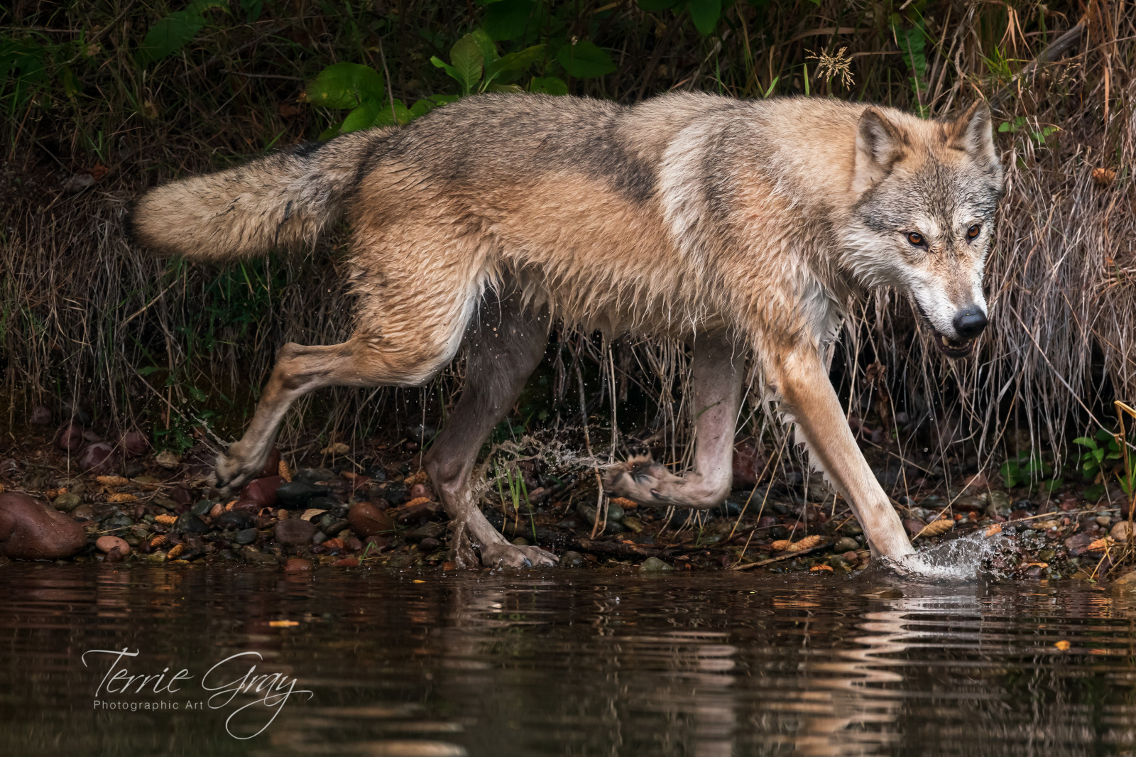 WBTPA Featured Top Photo