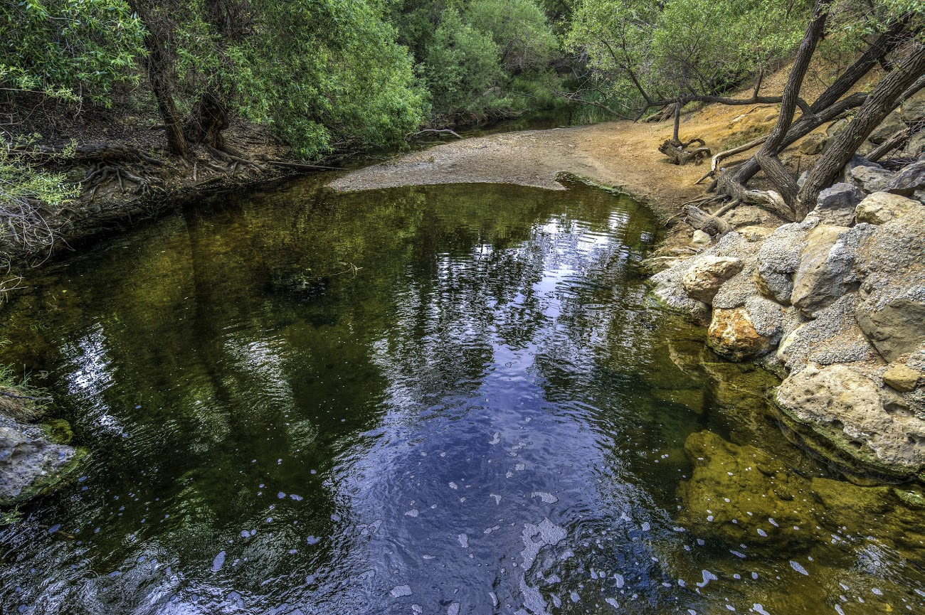 WBTPA Featured Top Photo