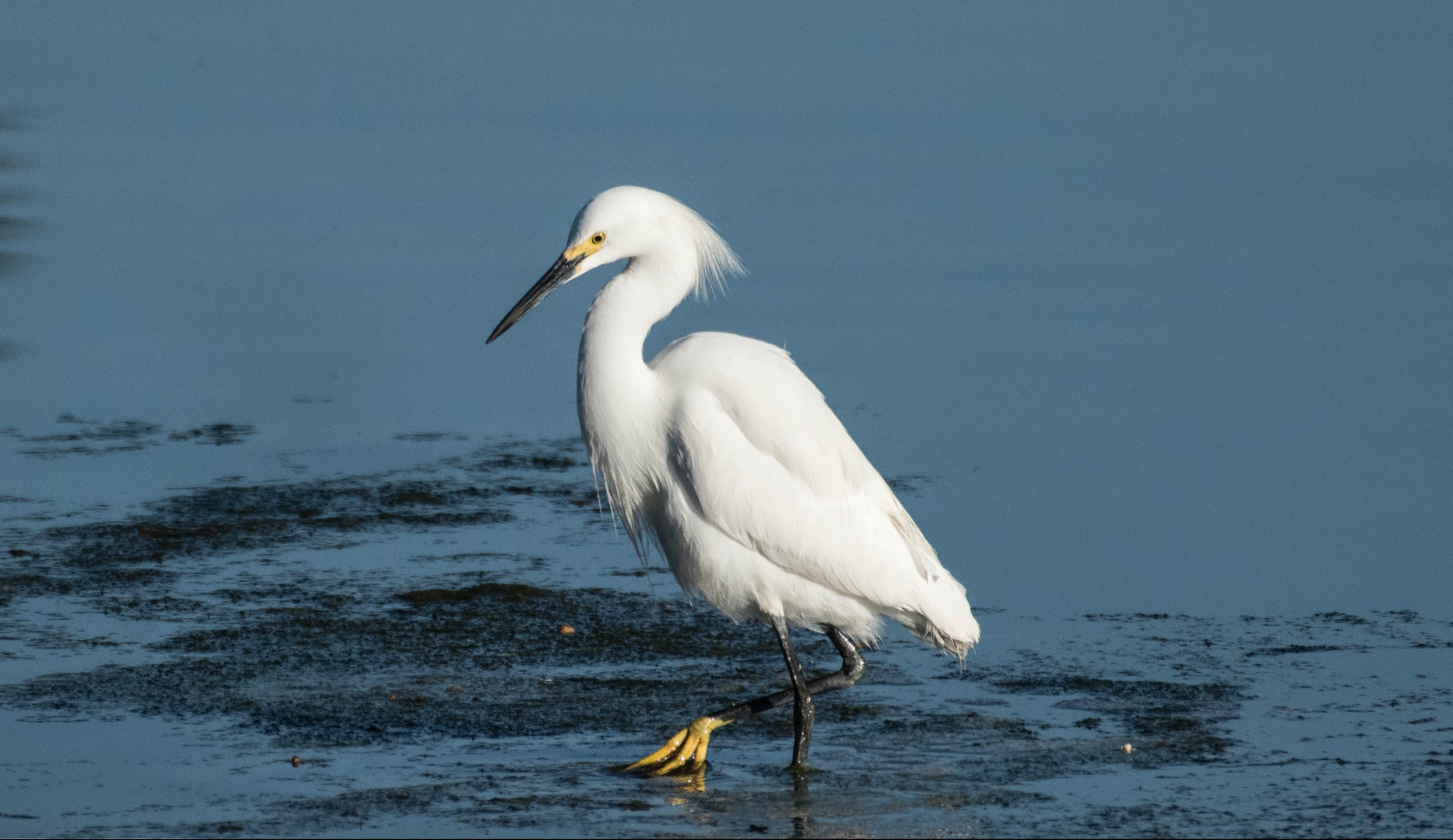 WBTPA Featured Top Photo