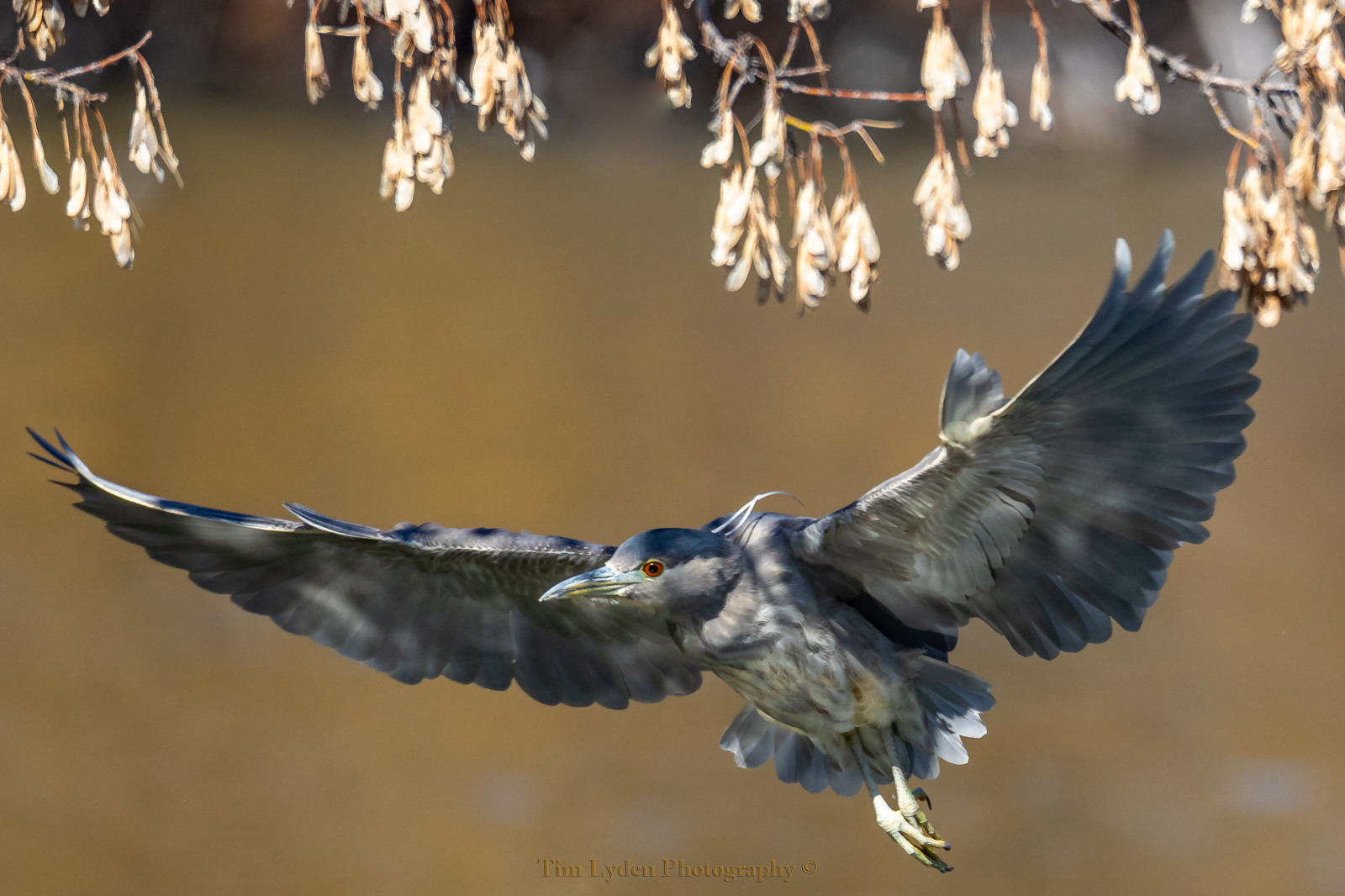 WBTPA Featured Top Photo