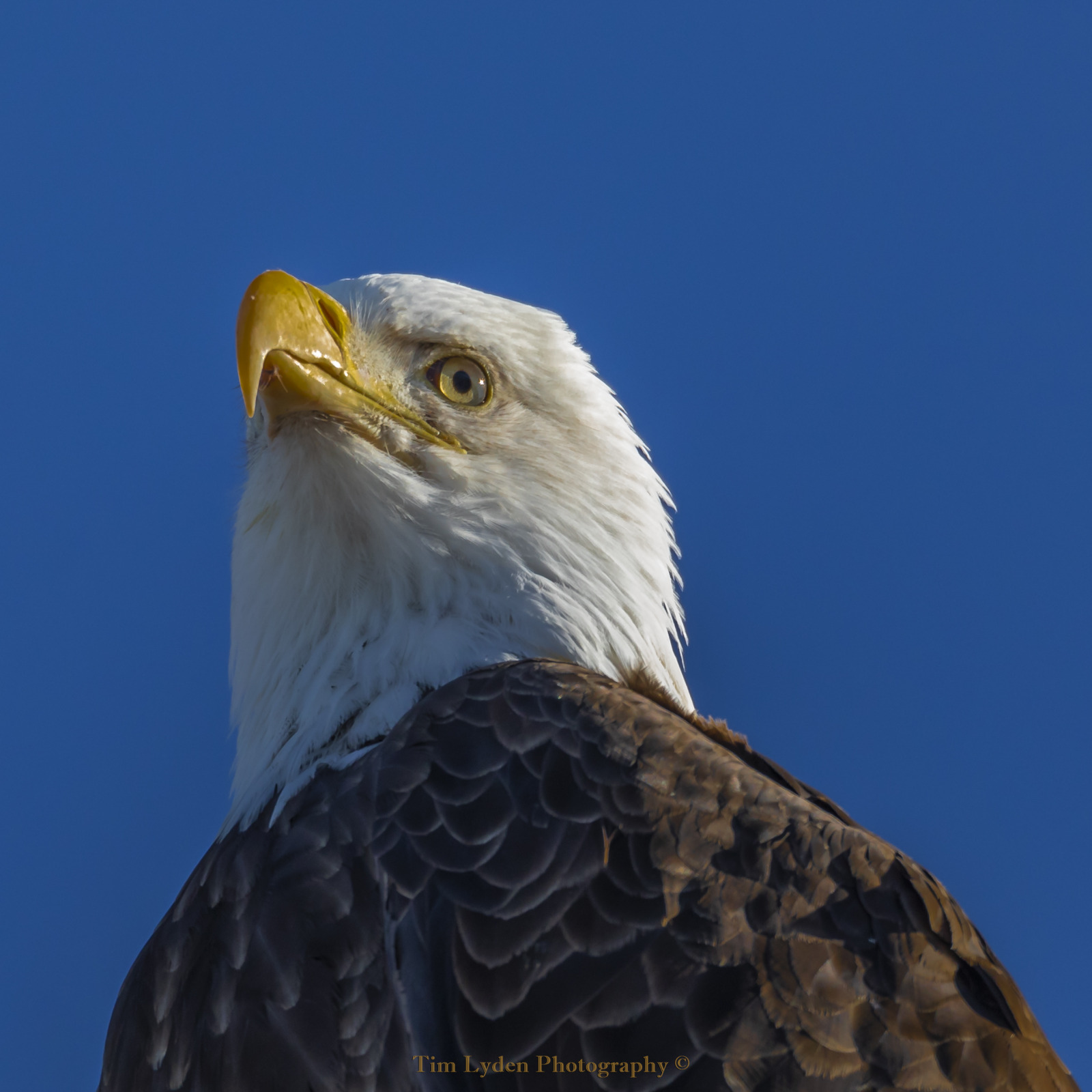 WBTPA Featured Top Photo