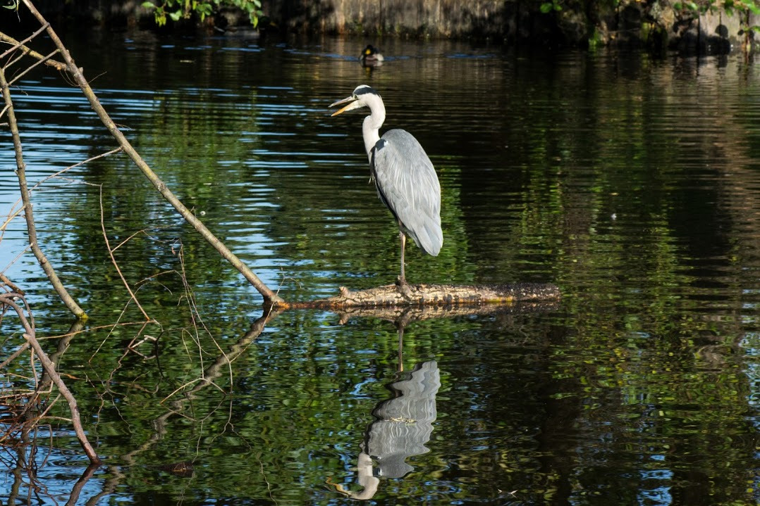 WBTPA Featured Top Photo