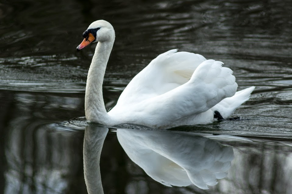 WBTPA Featured Top Photo