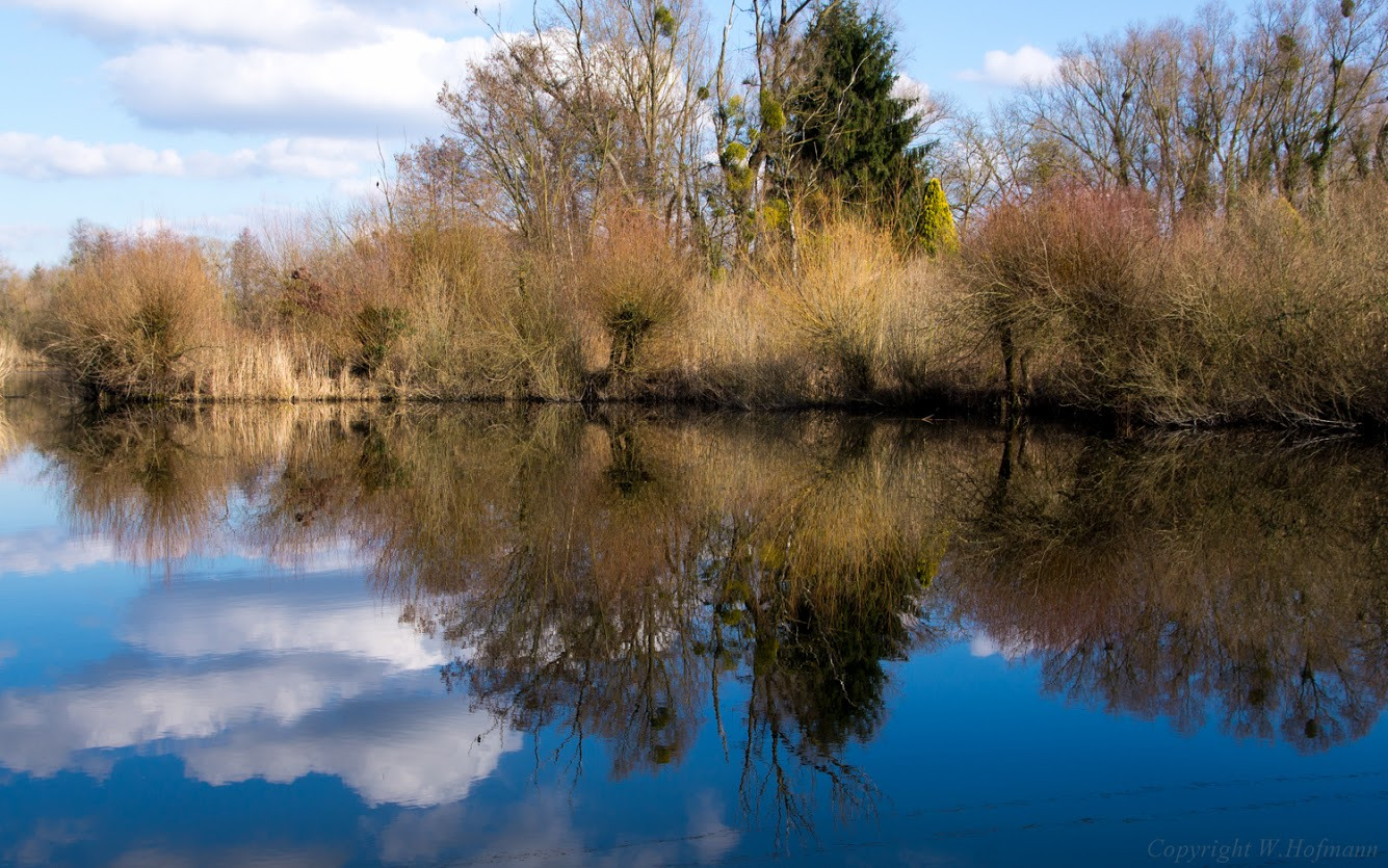 WBTPA Featured Top Photo