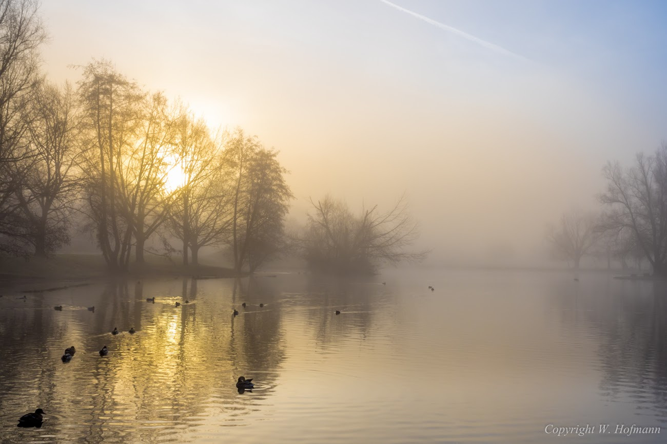 WBTPA Featured Top Photo