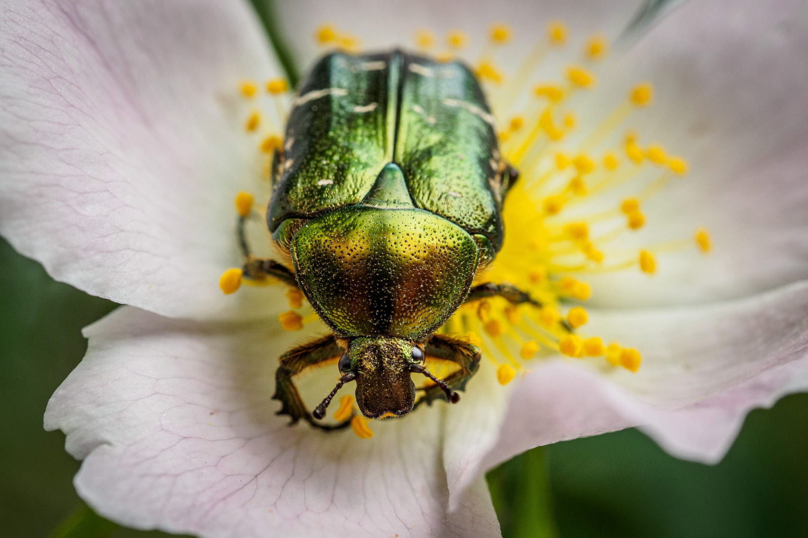 WBTPA Featured Top Photo